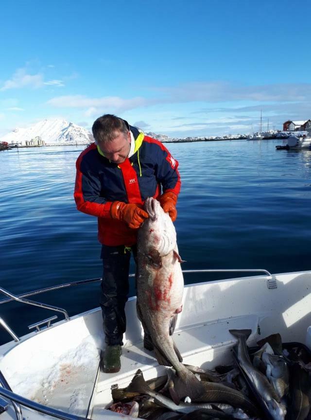 Kraemmervika Havn Ballstad